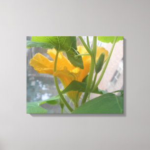 Studio Window Canvas Print
