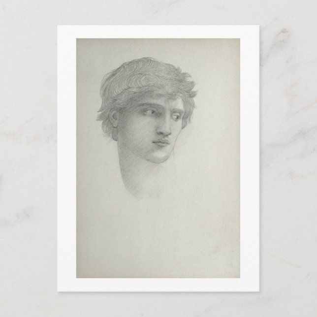 Study for the Head of Perseus (pencil on paper) Postcard (Front)