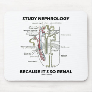 Study Nephrology Because It's So Renal Nephron Mouse Mat