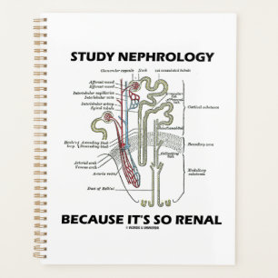 Study Nephrology Because It's So Renal Nephron Planner
