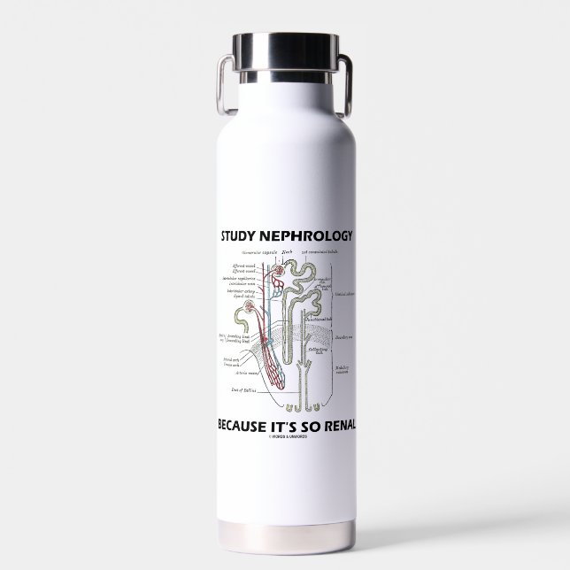 Study Nephrology Because It's So Renal Nephron Water Bottle (Front)