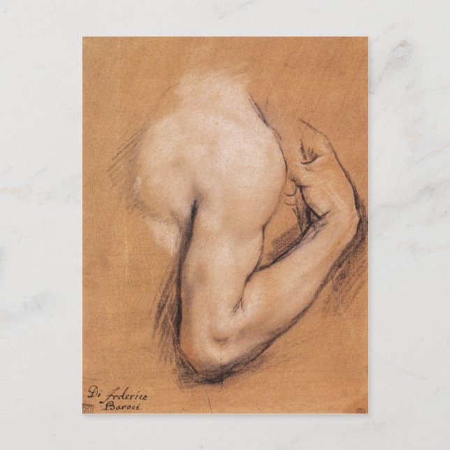 Study of a Bent Right Arm postcard (Front)
