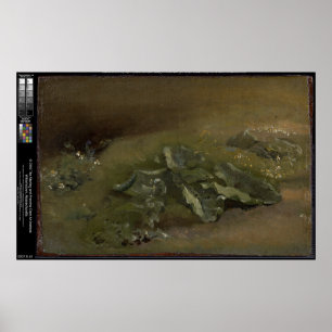 Study of a Burdock – John Constable Poster