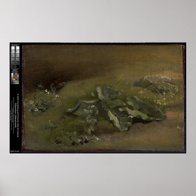 Study of a Burdock – John Constable Poster (Front)