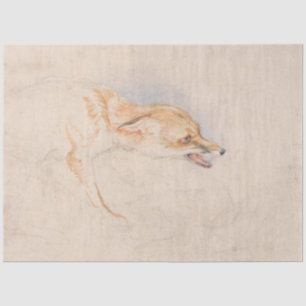 Study of a Crouching Fox (by John Frederick Lewis) Tissue Paper