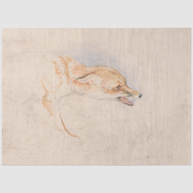 Study of a Crouching Fox (by John Frederick Lewis) Tissue Paper (Front)