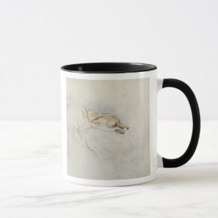 Study of a crouching Fox, facing right verso: fain Mug