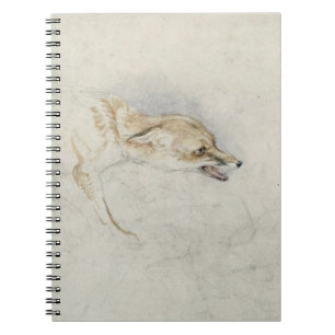 Study of a crouching Fox, facing right verso: fain Notebook