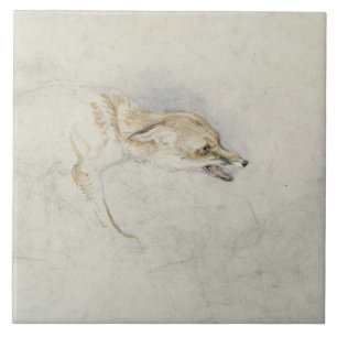 Study of a crouching Fox, facing right verso: fain Tile