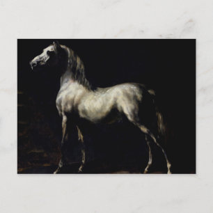 Study of a Dapple Grey Postcard