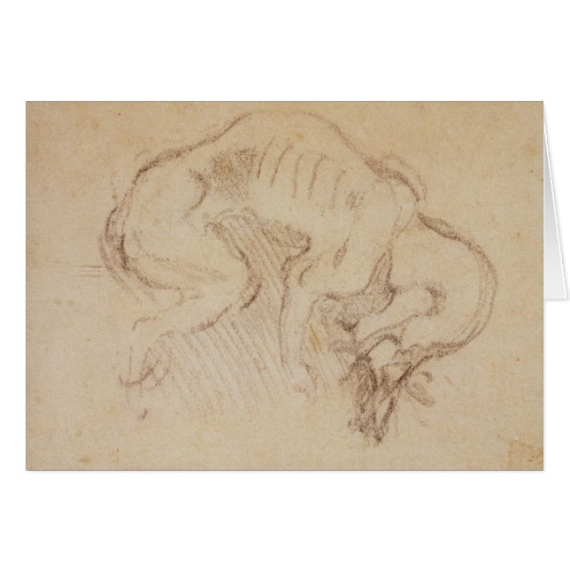 Study of a dog (Front Horizontal)