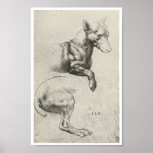Study of a Dog, Leonardo Da Vinci Poster