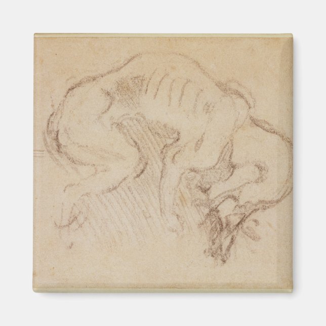 Study of a dog magnet (Front)