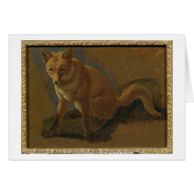 Study of a Fox (oil on panel) (Front Horizontal)