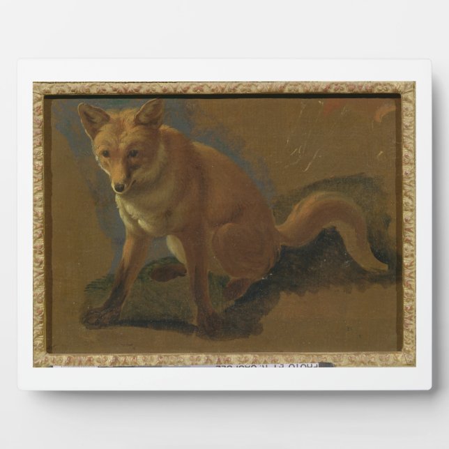 Study of a Fox (oil on panel) Plaque (Front)