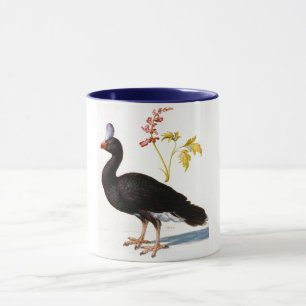 Study of a Helmeted Curassow, Arcimboldo Mug