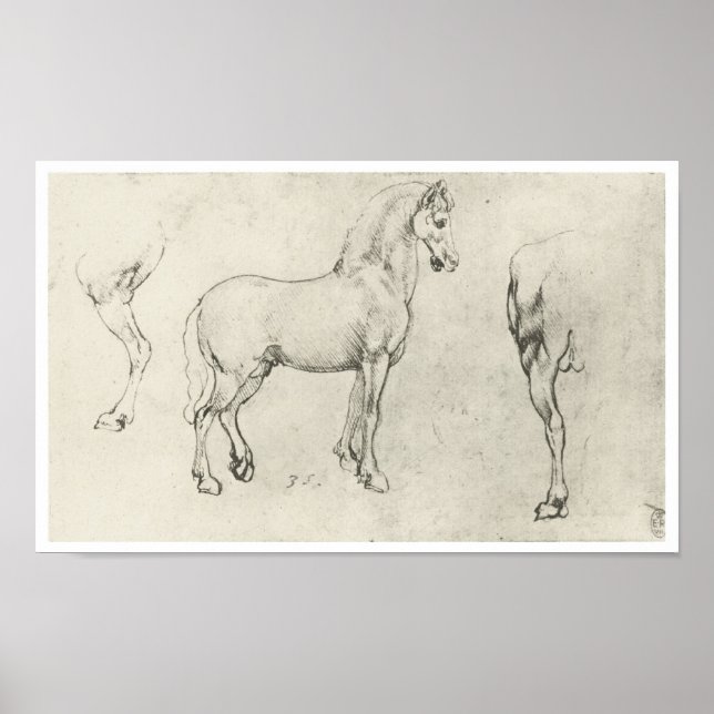 Study of a Horse and It's Hindquarters, Da Vinci Poster (Front)