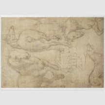 Study of a Horse Decoupage Paper