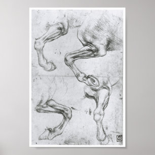 Study of a Horse's Legs, Leonardo Da Vinci Poster
