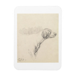 Study of a Hound, 1794 (pencil on paper) Magnet