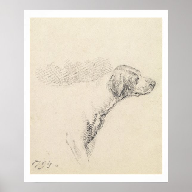 Study of a Hound, 1794 (pencil on paper) Poster (Front)