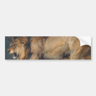 Study of a Lion (by Edwin Henry Landseer) Bumper Sticker