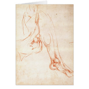 Study of a lower leg and foot
