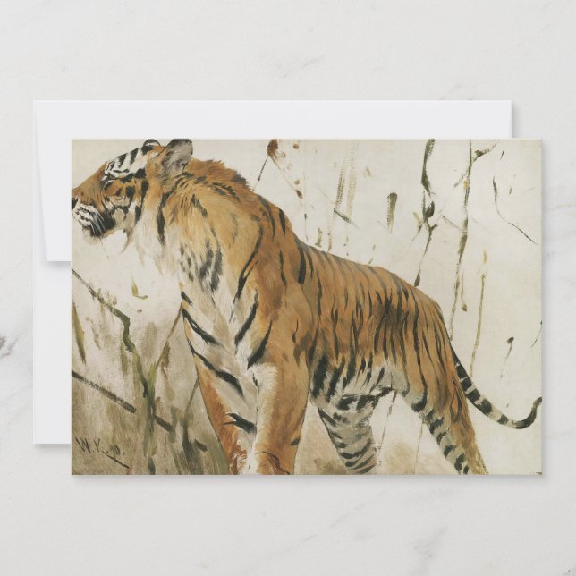 Study of a Tiger | Wilhelm Kuhnert (Front)