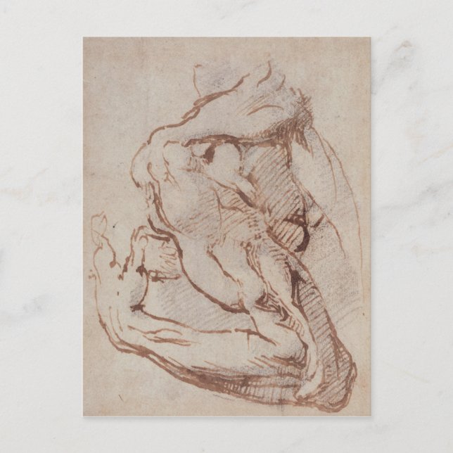 Study of an Arm  Inv.1859/5/14/819 Postcard (Front)