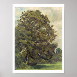 Study of an Ash Tree, c.1851 (oil on paper on pane Poster