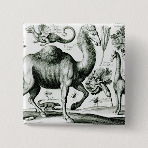 Study of Animals and Flowers, engraved 15 Cm Square Badge