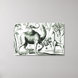 Study of Animals and Flowers, engraved Canvas Print