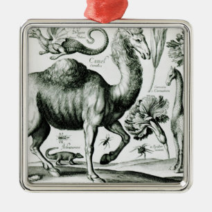 Study of Animals and Flowers, engraved Metal Tree Decoration