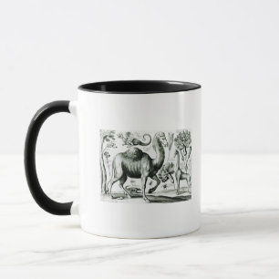 Study of Animals and Flowers, engraved Mug
