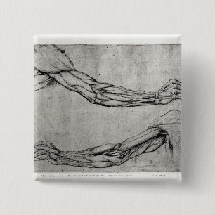 Study of Arms 15 Cm Square Badge
