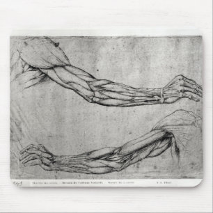 Study of Arms Mouse Mat
