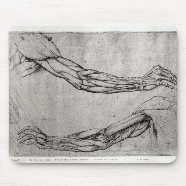 Study of Arms Mouse Mat (Front)