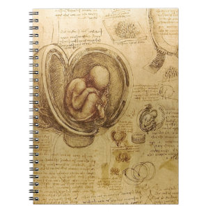 Study of baby foetus by Leonardo da Vinci Notebook