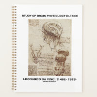 Study Of Brain Physiology (c. 1508) da Vinci