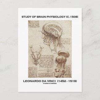 Study Of Brain Physiology (Leonardo da Vinci 1508) Postcard