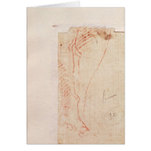 Study of Christ's feet nailed to the Cross