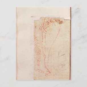 Study of Christ's feet nailed to the Cross Postcard