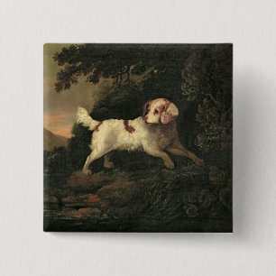 Study of Clumber Spaniel 15 Cm Square Badge