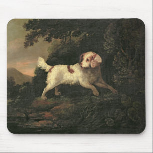 Study of Clumber Spaniel Mouse Mat