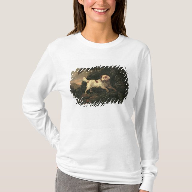Study of Clumber Spaniel T-Shirt (Front)