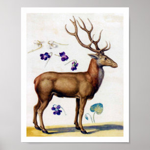 Study of Deer and Flower, Arcimboldo Poster