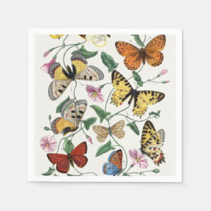 Study of diurnal butterflies by Paul Gervais Napkin