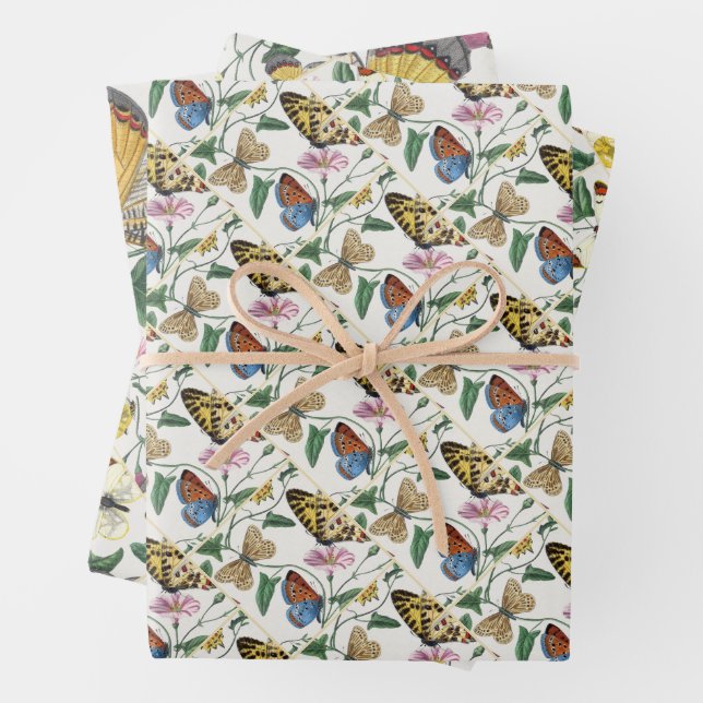 Study of diurnal butterflies by Paul Gervais Wrapping Paper Sheet (In situ)