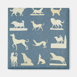 Study of Dogs Magnet
