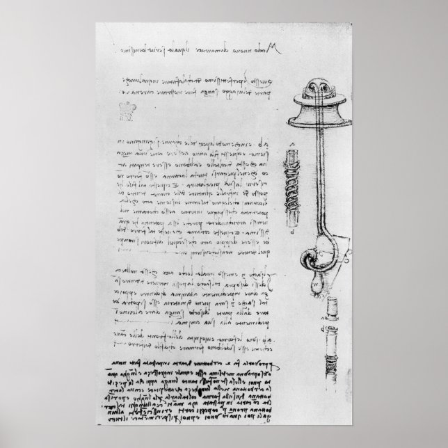 Study of floater with breathing tubes for diver poster (Front)